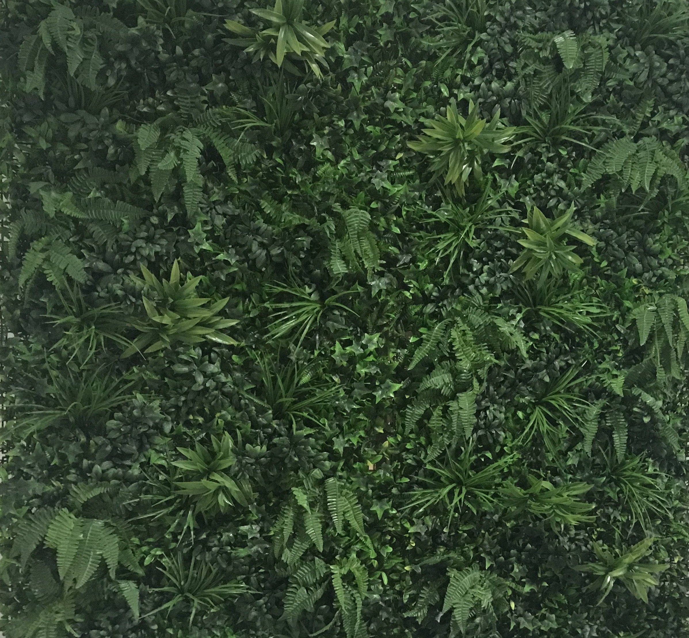 Lush Mixed Greenery Wall Adelaide Party Hire